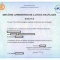 IMPORTANT FRENCH TESTS AND CERTIFICATIONS FOR NIGERIAN STUDENTS