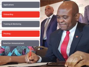 SELECTION PROCESS OF 2020 TONY ELUMELU FOUNDATION (TEF) GRANT