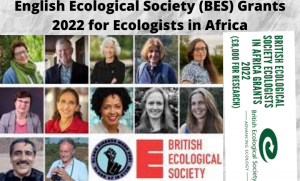 English Ecological Society (BES) Grants 2022 for Ecologists in Africa