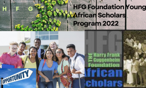 HFG Foundation Young African Scholars Program 2022