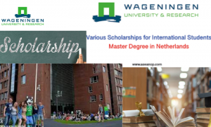 Wageningen University & Research (WUR) OKP Short Courses Scholarships 2022/2023 for Developing Countries