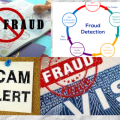 Approaches to Easily Identify Fraudulent Visa Agents