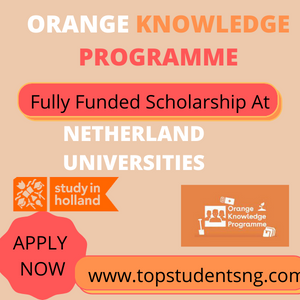 2022 Orange Knowledge Programme (OKP) for Students to Study in The Netherlands