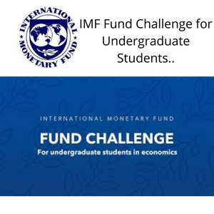 IMF Fund Challenge for Undergraduate Students in Economics 2022